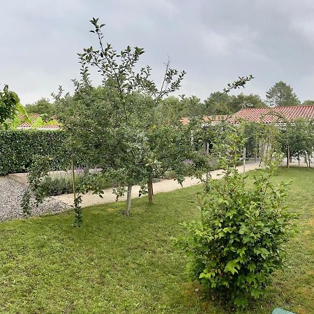 O'Pintxo Bed & Breakfast Onesse-et-Laharie Exterior photo